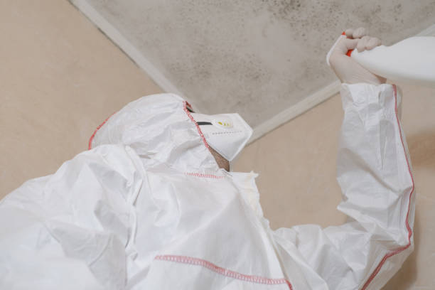 Best Professional Mold Removal  in Brownfields, LA