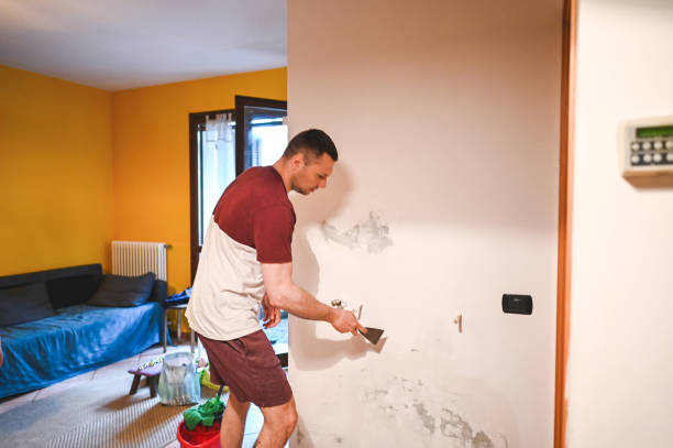 Best Office Mold Removal Services  in Brownfields, LA